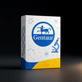 Gentaur 96-well PCR Clean Up Kit (2 prep) - 2 prep