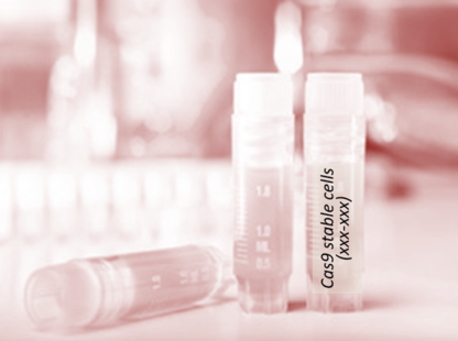 Cas9 Stable Cell Line (LLC)