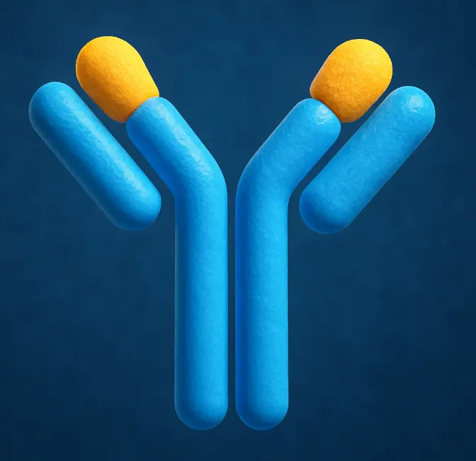 Rabbit Anti-Human IgG gamma chain Antibody (AF568)