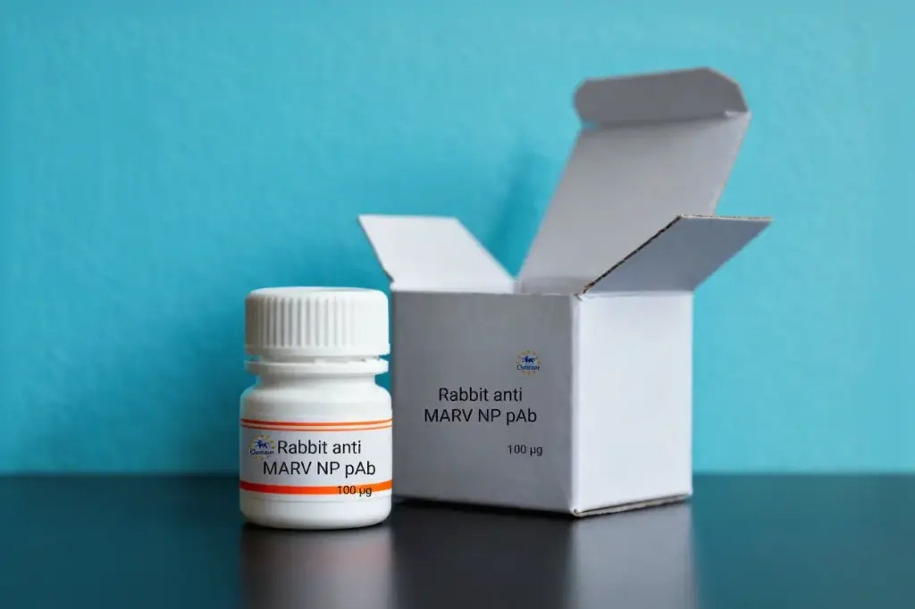 Rabbit anti MARV NP pAb