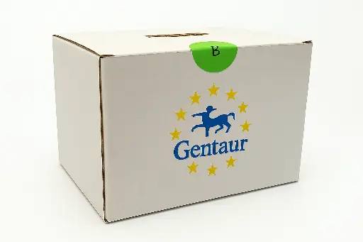 [FM-MS-NRK-3001] Shaker Rocking Anti-Moisture, 30 × 30 cm platform