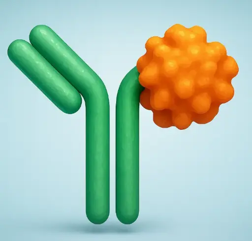 [ML-PA-1997-100µg] HID1 antibody