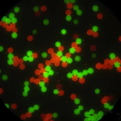 [AFR-0002-COOH] Red PS Fluorescent particles, 20nm - COOH